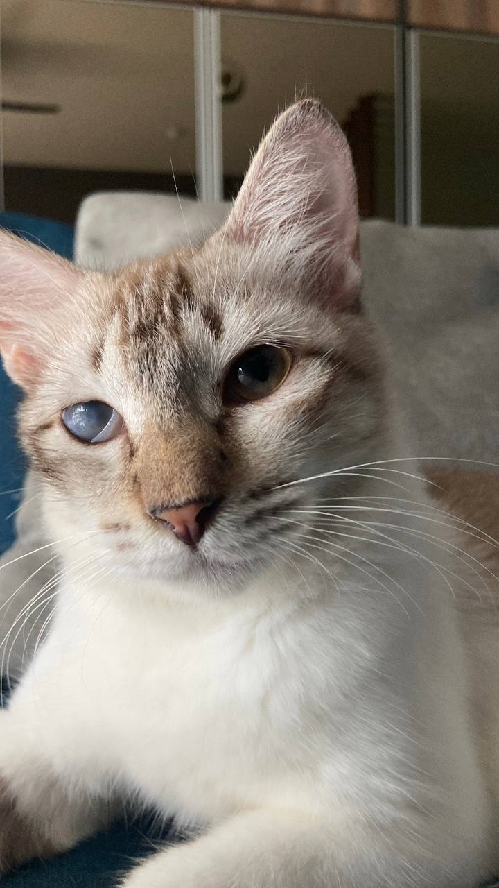 photo_8_2024-01-11_09-21-03